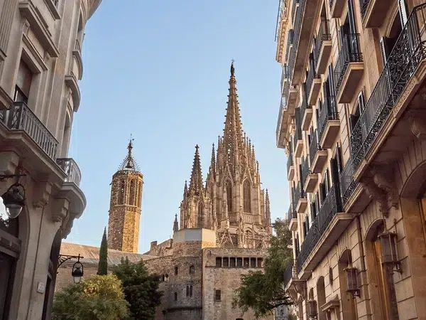 Z11 Barcelona